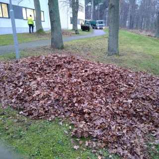 Kogutud lehekuhi tee ääres koristustööde käigus